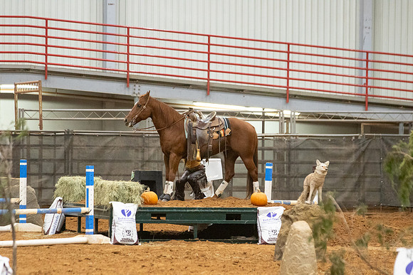 OpenR1-336