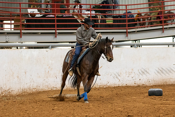 InternationalR2-123