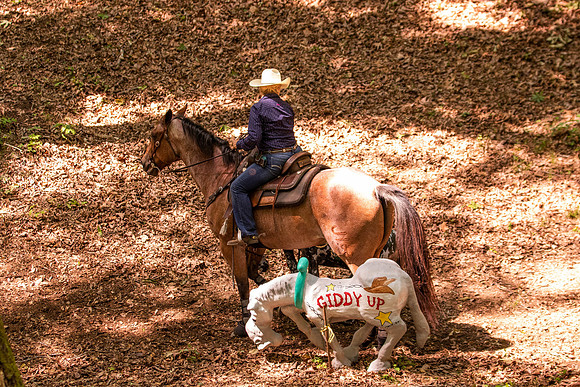 HodgesRace-5411