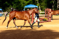 4HArenaWest-0824