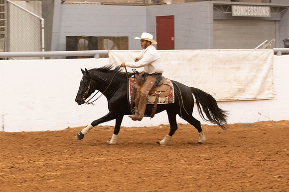 Mustang-1471