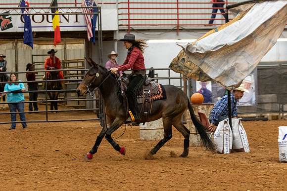 Mule&FuturityR2-114