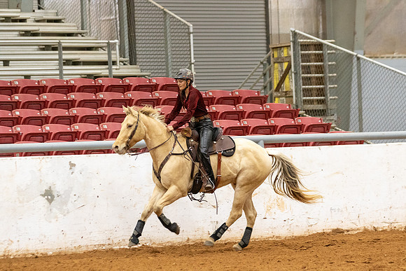 OpenR2&LeadLine-396