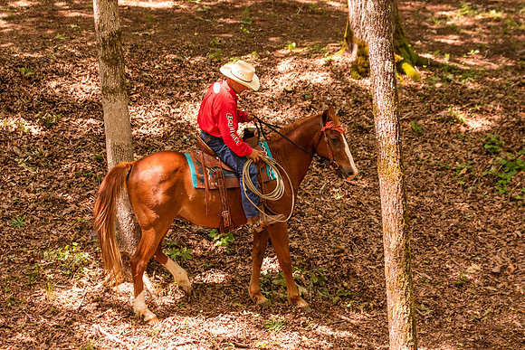 HodgesRace-5688