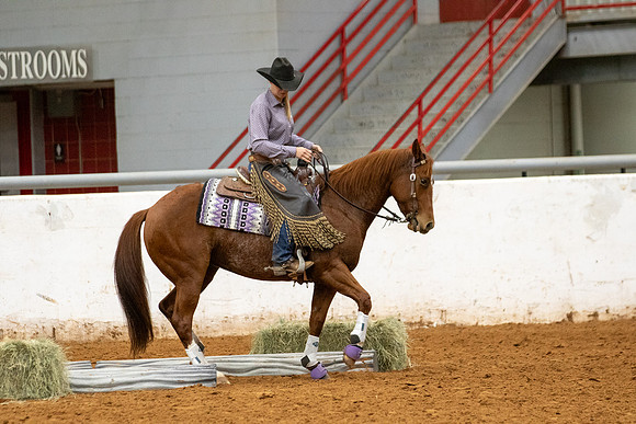 Mule&FuturityR2-500