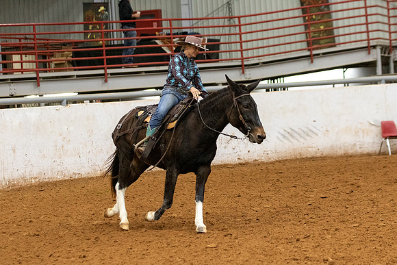 Mule&FuturityR2-218