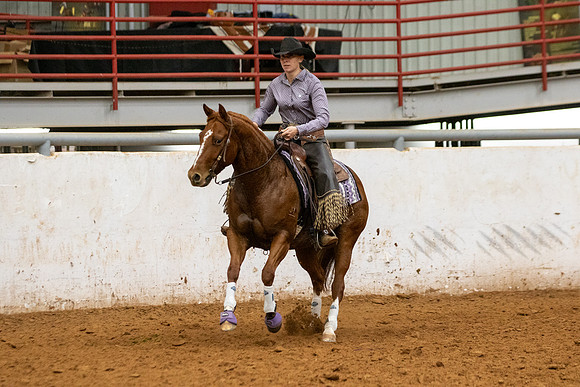Mule&FuturityR2-497