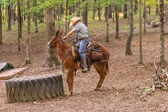 HodgesRace-7557