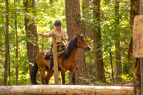 HodgesRace-5419