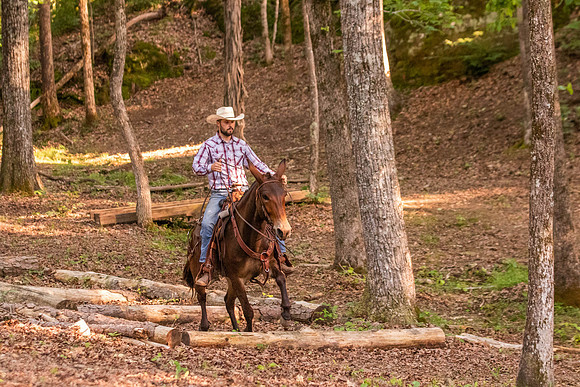 HodgesRace-7432