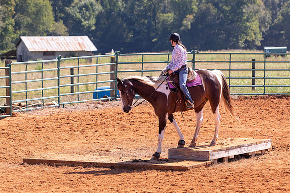 hayden-3953