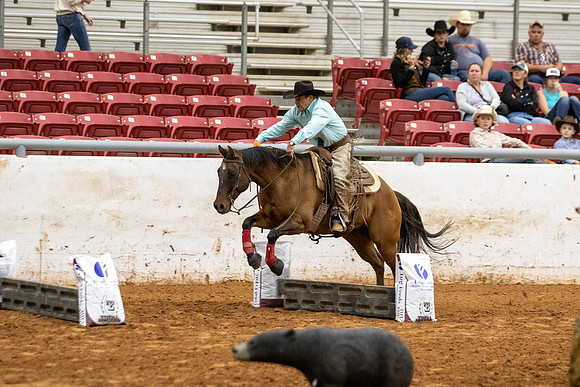 RideSmartR1-197