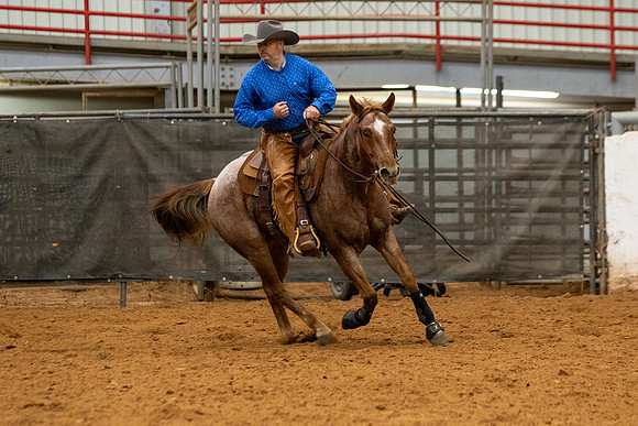 Mule&FuturityR2-444
