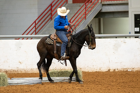 Mule&FuturityR2-77