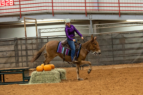 Mule&FuturityR2-228