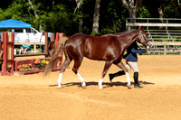 4HArenaWest-0981