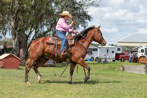 Nelda-3721