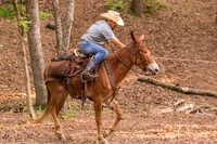 HodgesRace-7539
