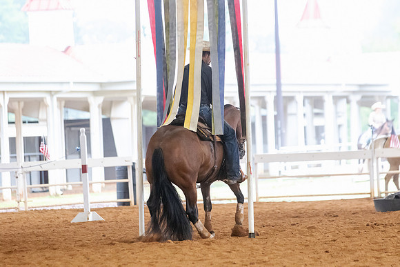 EXCARegionals-399