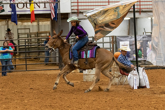 Mule&FuturityR2-239