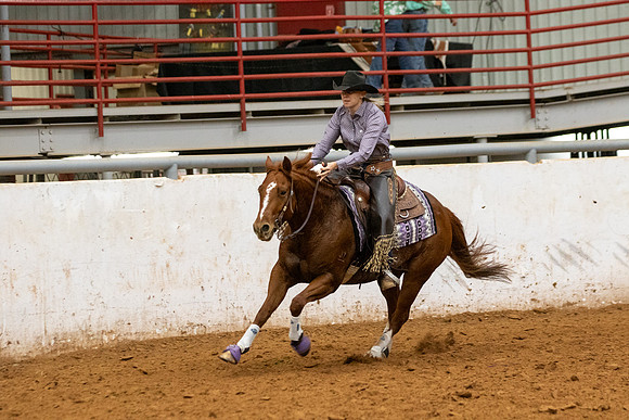Mule&FuturityR2-513