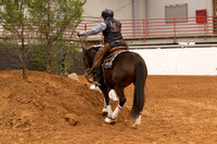 Mustang-1279