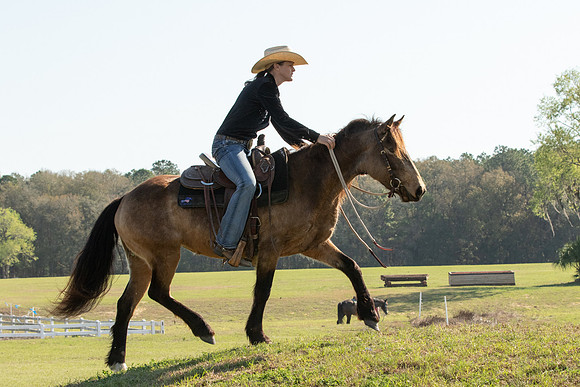 EXCAOcala-7741