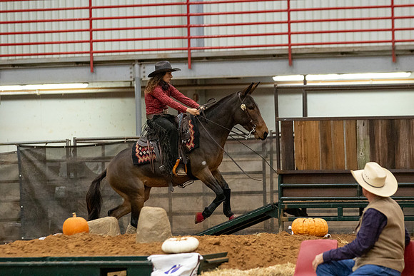 Mule&FuturityR2-101