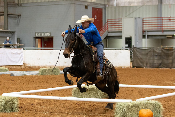 Mule&FuturityR2-85