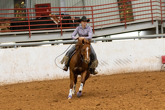 Mule&FuturityR2-520