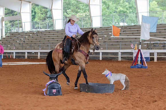 EXCARegionals-2012