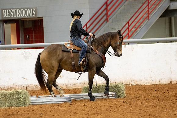 Mule&FuturityR2-524