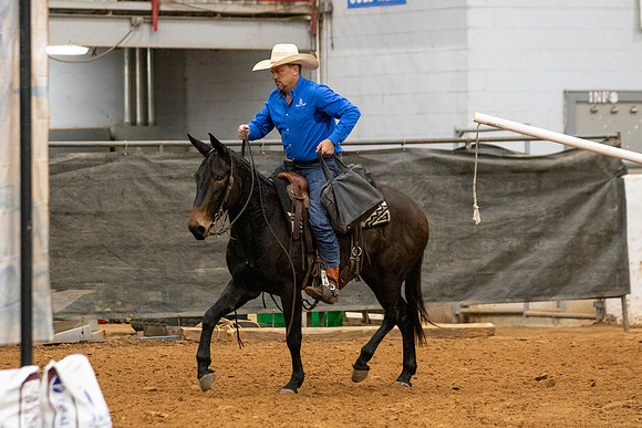 Mule&FuturityR2-94