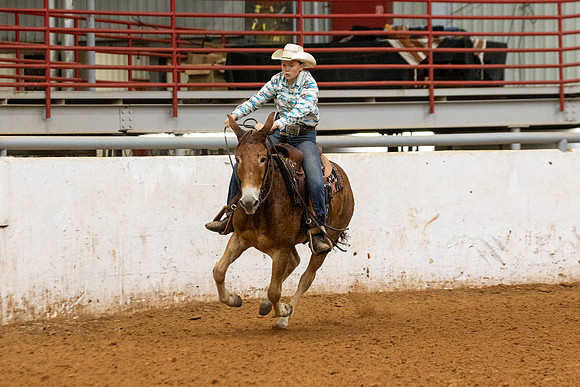 Mule&FuturityR2-20