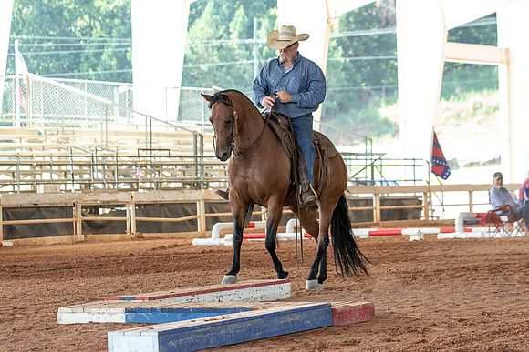 Gainesville-7743