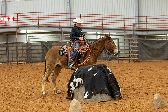 MuleFinals-8