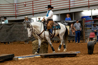 Mustang&MuleR1-409