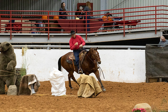 NonProR2-8627