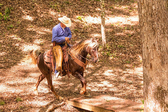 HodgesRace-5476