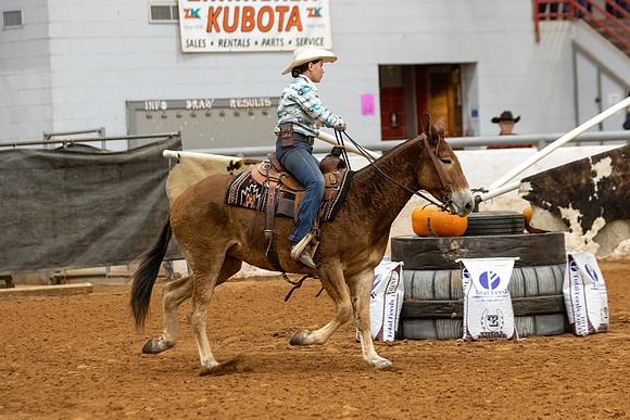 Mule&FuturityR2-17
