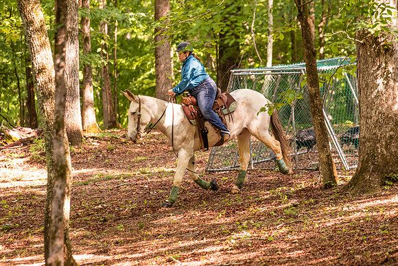 HodgesRace-5226