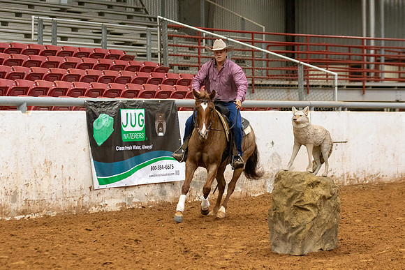 Mule&FuturityR2-379