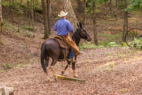 HodgesRace-7597