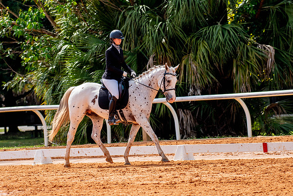 HorseShow-0739