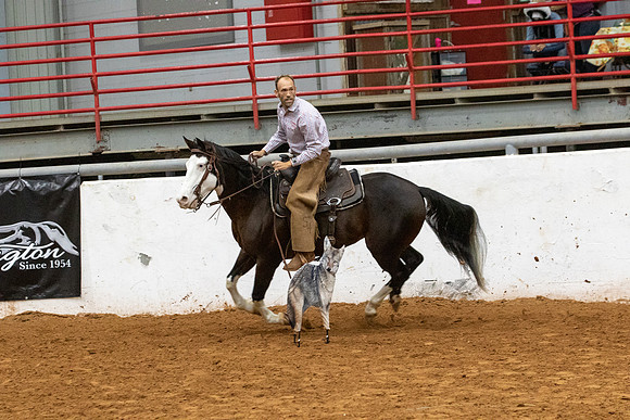 NoviceR2-0485