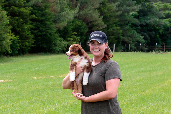 Puppies-7991