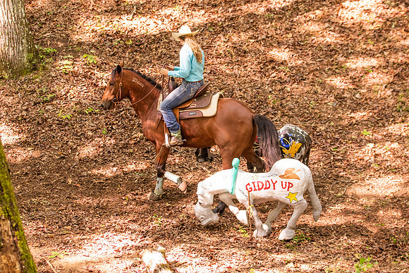 HodgesRace-5317