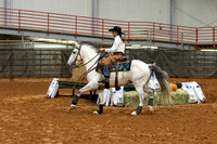 Mustang&MuleR1-421