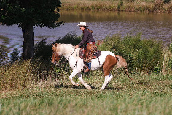Christi-2500