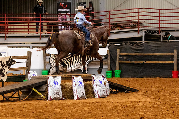 2025WorldsYGR2-3925